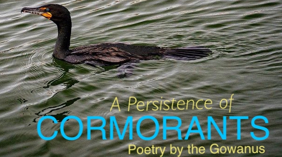 A cormorant in the water with text "A Persistence of Cormorants, Poetry by the Gowanus" in the water below it.