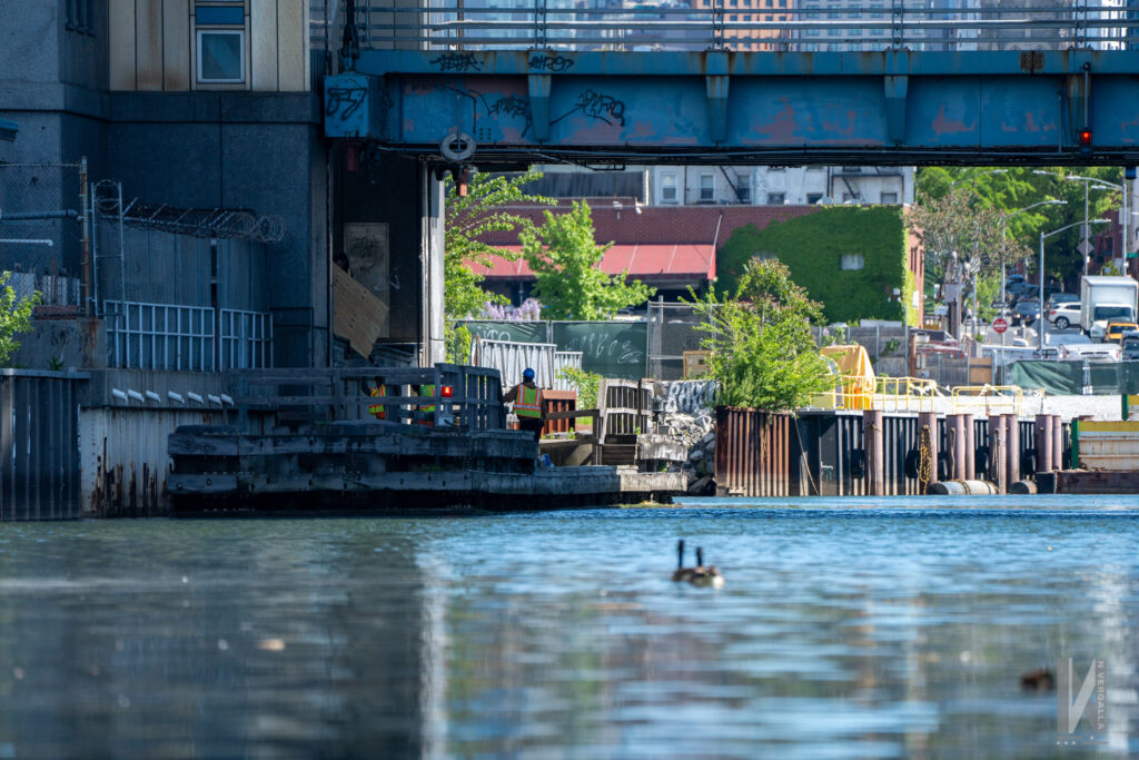 Geese head to the 9th St. bridge to figure out why the humans left it up.
